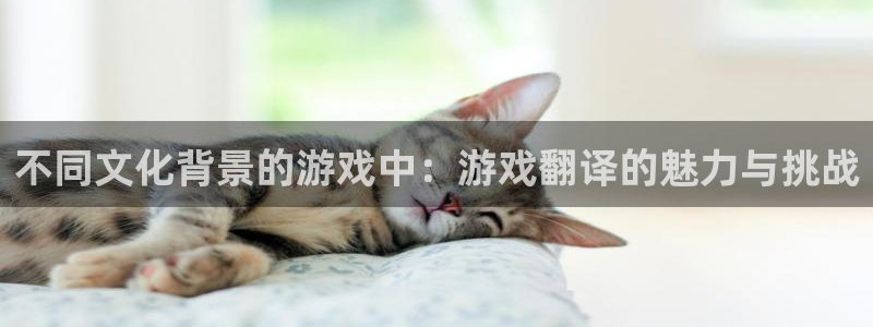 不同文化背景的游戏中：游戏翻译的魅力与挑战