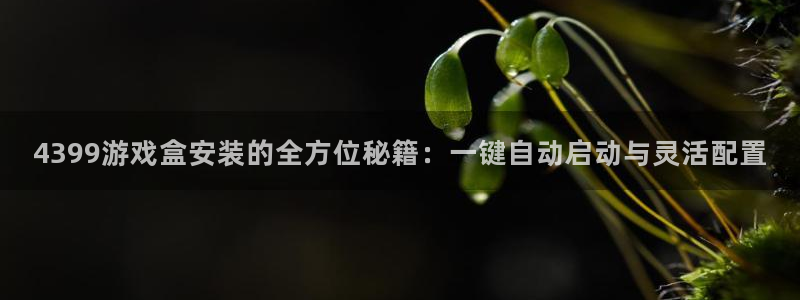 多宝电竞平台官方网站下载安装：4399游戏盒安装的全方位秘籍