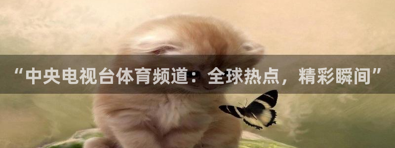 直播吧直播吧是知名体育信息平台：“中央电视台体育频道：全球热点，精彩瞬间”